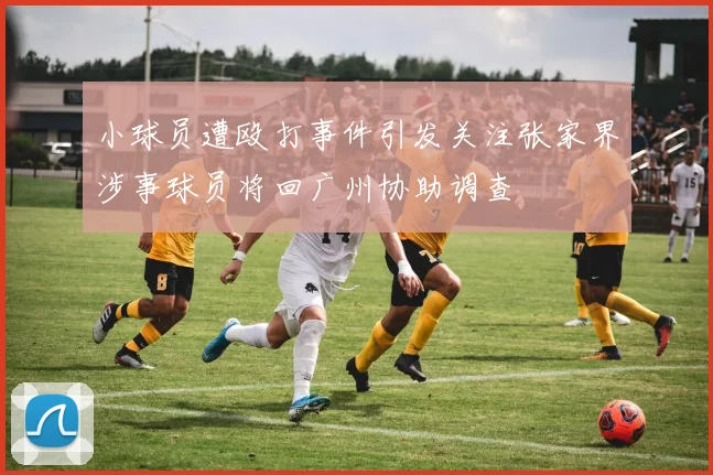 小球员遭殴打事件引发关注张家界涉事球员将回广州协助调查
